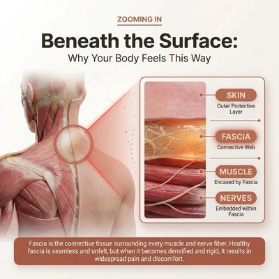 Aurelia Secrets Fascial Release