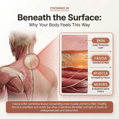 Aurelia Secrets Fascial Release